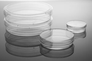 NEST® Cell Culture Dish, 100 mm, Sterile, 10/pk, 300/cs