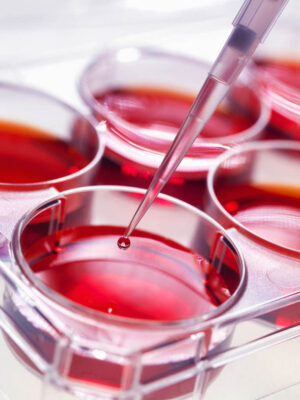 Life Science