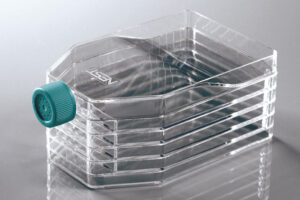 NEST® 3-Layer Cell Culture Flask,Vent Cap, TC, Sterile,Bag Package, 1 pc/pack, 12 pakcs/case, 12 pcs/case
