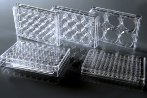 NEST® Cell Culture Plates, 6 wells, Treated / non-Treated, Clear